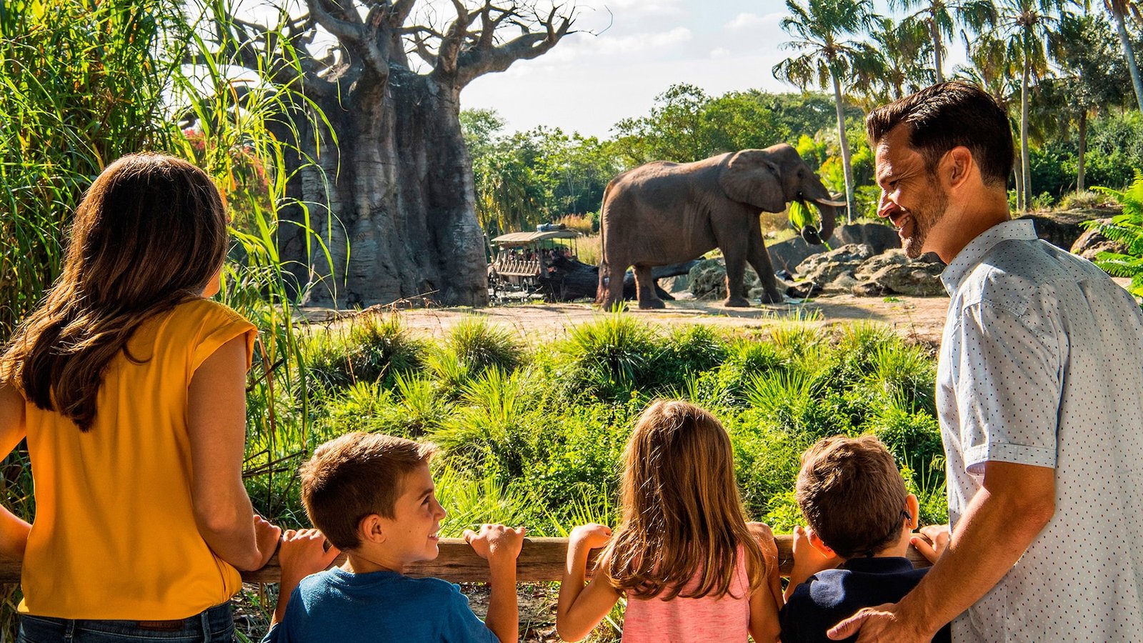 A family of 5 looking at an elephant during Savor the Savanna at Disney's Animal Kingdom Park