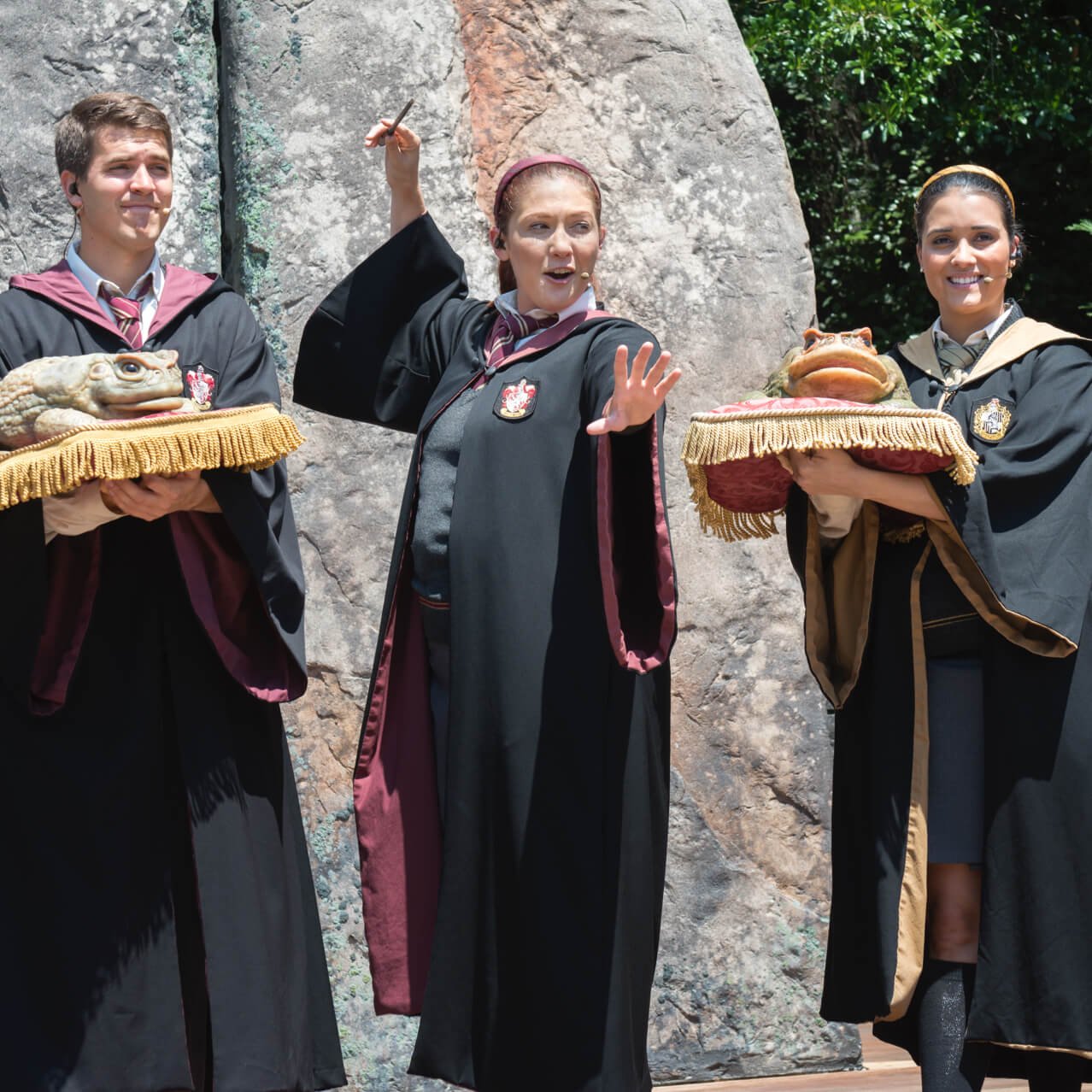 Frog Choir — Islands of Adventure