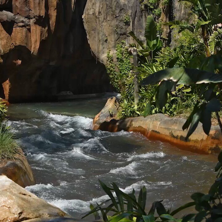 Kali River Rapids