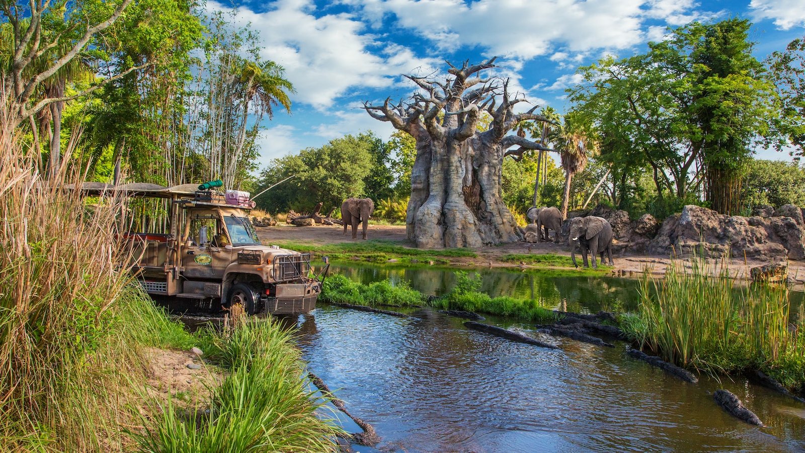 An open-air safari bus drives in a river past 3 elephants