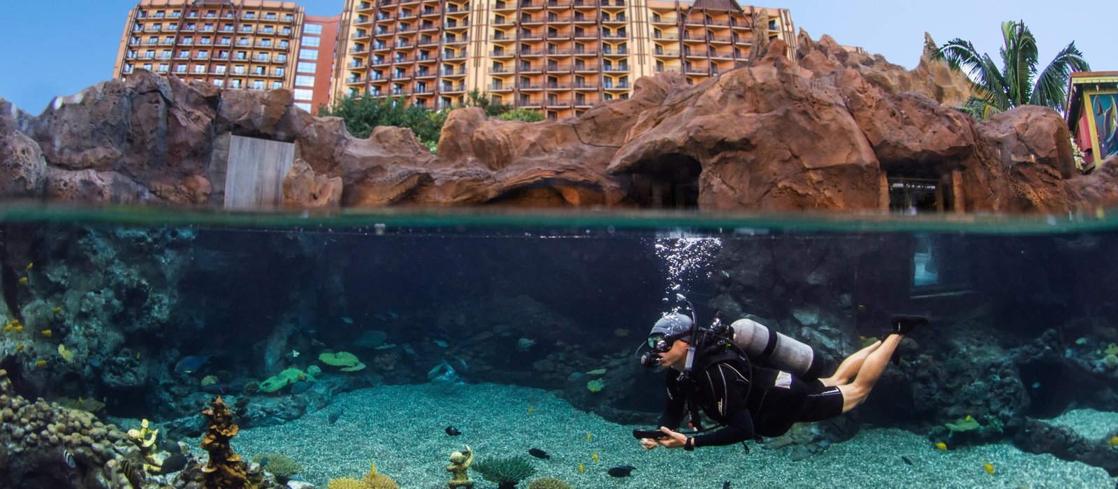 Underwater Explorers en Aulani, Hawái