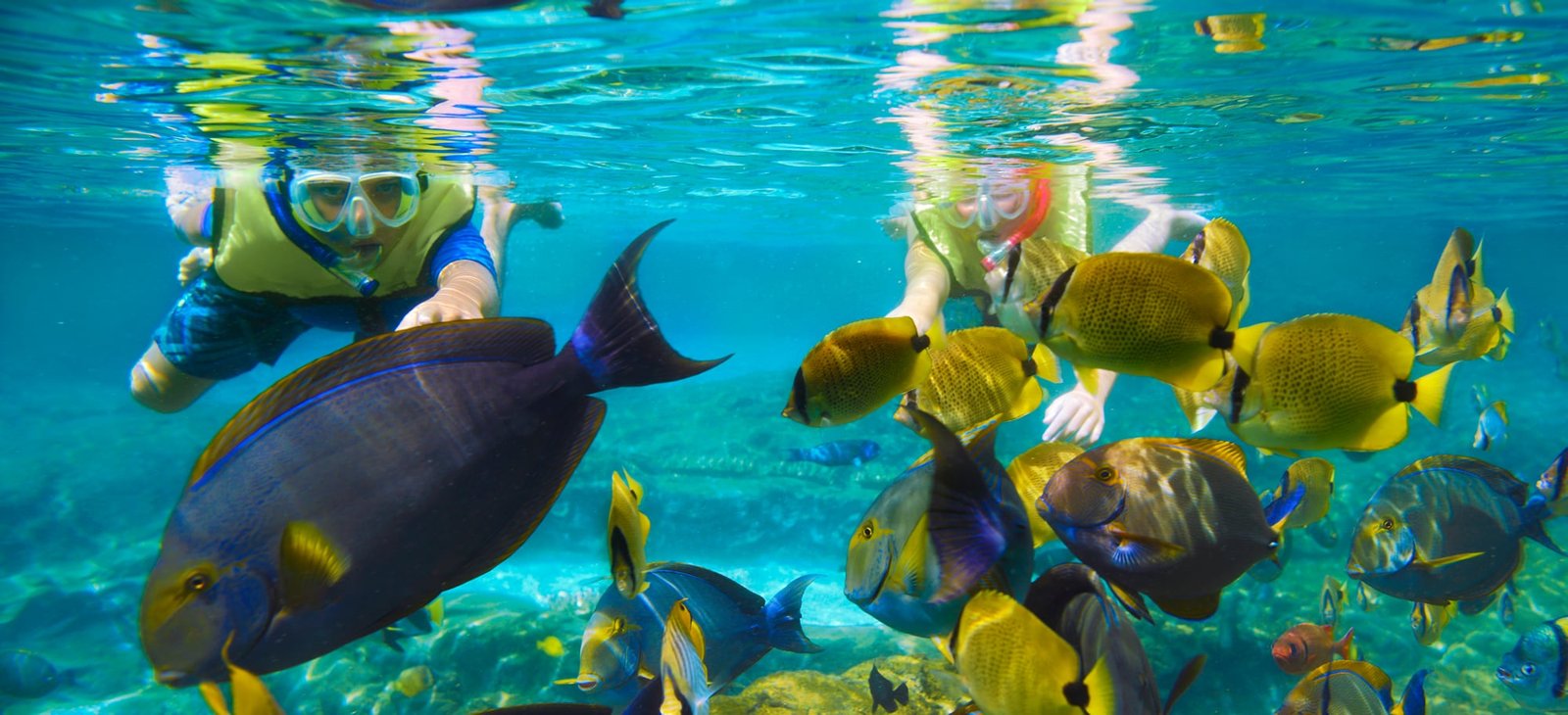 Rainbow Reef