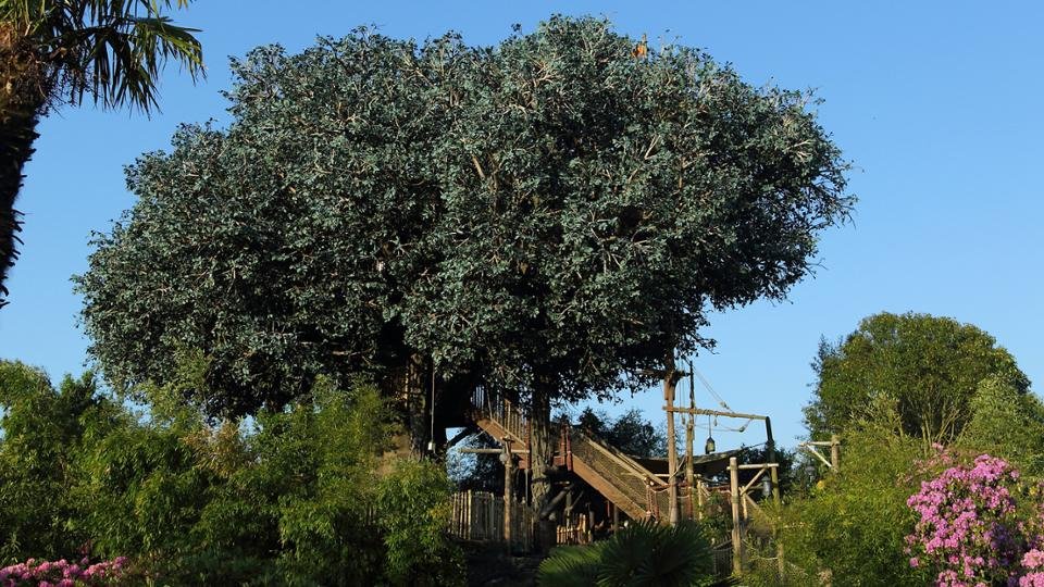 La Cabane des Robinson en Disneyland Park París